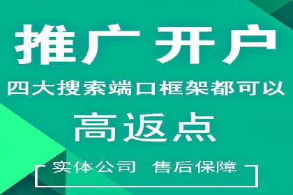 SEM代运营服务公司案例分析：数据驱动营销策略
